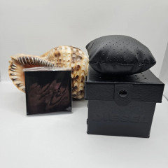 Наручний годинник Diesel DZ4318 чоловічий з металевим корпусом чорний