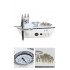 Beemyi Diamond Dermabrasion WD-102 White Microdermabrasion and Skin Rejuvenation Device