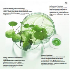 Centella Asiatica Small Bubble Face Mask with Asian Centella Extract, 12 pcs