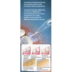 Baiteng BPF-01 Portable Oral Irrigator, Black (4 nozzles + nozzle storage box)