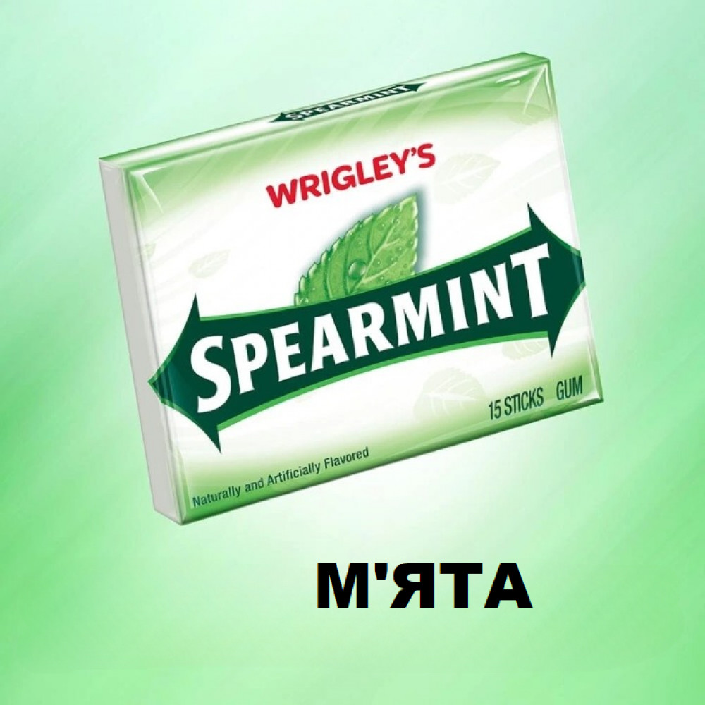 Wrigley's Spearmint chewing gum mint set of 10 packs of 15 sticks 150 pieces