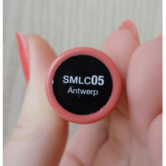 Liquid lipstick with a matte finish Nyx Soft Matte Lip Cream Antwerp SMLC05 pink coral 8 ml