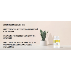 Capsules for immunity Vimergy Micro-C with Vitamin C 180 capsules 500 mg