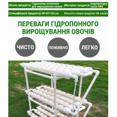 Vertical hydroponic system for growing plants without soil