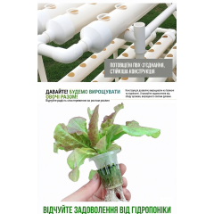 Vertical hydroponic system for growing plants without soil