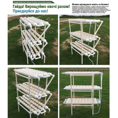 Vertical hydroponic system for growing plants without soil