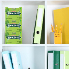 М'ятна жувальна гумка Wrigley's Doublemint набір 10 упаковок по 15 пластинок 150 штук