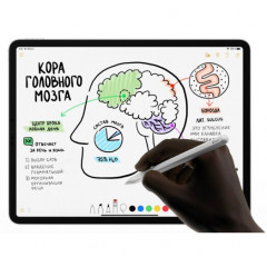 Стилус Apple Pencil 2