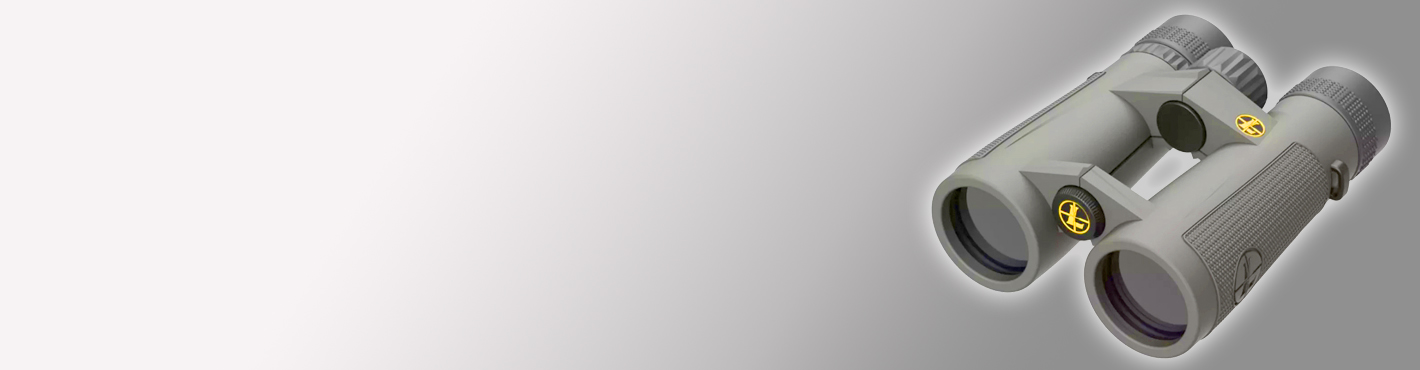 Бінокль для професіоналівLeupold BX-5 Santiam HD 10x42