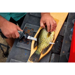 Сверхмощный электрический филейный нож Rapala Combo