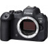 Фотокамера Canon EOS R6 Mark II Body Black