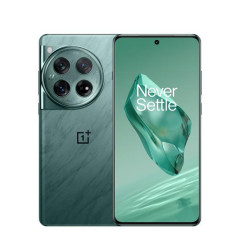 OnePlus 12 PJD110 16/512Gb CN Flowy Emerald