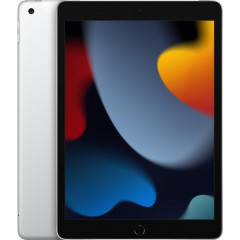 Apple iPad 10.2 Wi-Fi 256Gb (2021) Silver