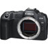 Фотокамера Canon EOS R8 Body Black