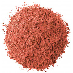 Професійні рум'яна NYX Cosmetics HD Studio Photogenic Grinding Blush NUTMEG (HDGB07)