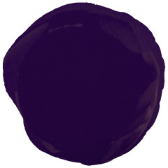 Лак для ногтей NYX Cosmetics Girls Nail Polish PRUNE JUICE (NGP211)