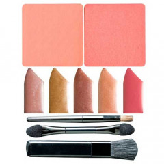 NYX Cosmetics Winter makeup set (14 shades of eyeshadows + 2 shades of blush + 5 lip glosses)