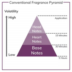 Парфумований спрей для тіла Victoria's Secret Electric Beach 250 ml