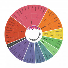 Парфумований спрей для тіла Victoria's Secret Electric Beach 250 ml