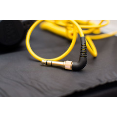 Накладні діджейські навушники AIAIAI TMA-1 Fools (лімітована серія)