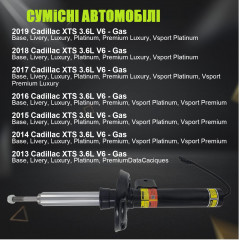 Амортизатори передні з електроприводом Cadillac XTS 2013-2019 LUFT MEISTER 580-1096 19300063 B092J8WBSH (2 шт)