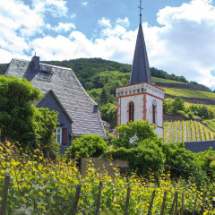 ZEIT's collection of German wines from the Rheingau region (6 bottles).
