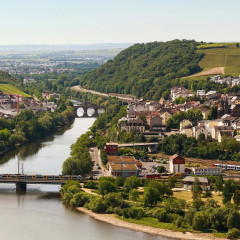 ZEIT's collection of German wines from the Rheingau region (6 bottles).