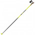 Cross-country ski poles 145 cm carbon Leki PRC 650