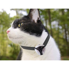 Digital camera for home pets EYENIMAL Pet Videam (weight 30 grams)