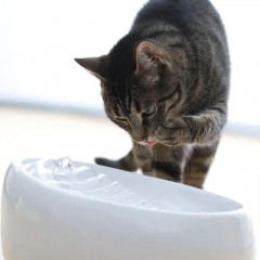 Ceramic drinking fountain for cats or small dogs Lucky Kitty (1.5 liters)