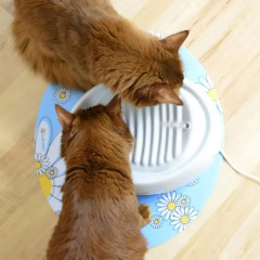 Ceramic drinking fountain for cats or small dogs Lucky Kitty (1.5 liters)