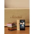 MP3 player Apple iPod nano 7th Generation (1446) 16 Gb Silver.