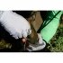 Glacier Glove Ascension Bay fingerless gloves for fishing and outdoor activities.